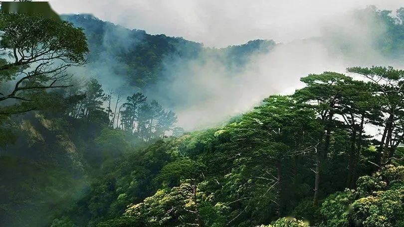 宗族势力与地方社会：以饶平县黄冈镇为个案的研究