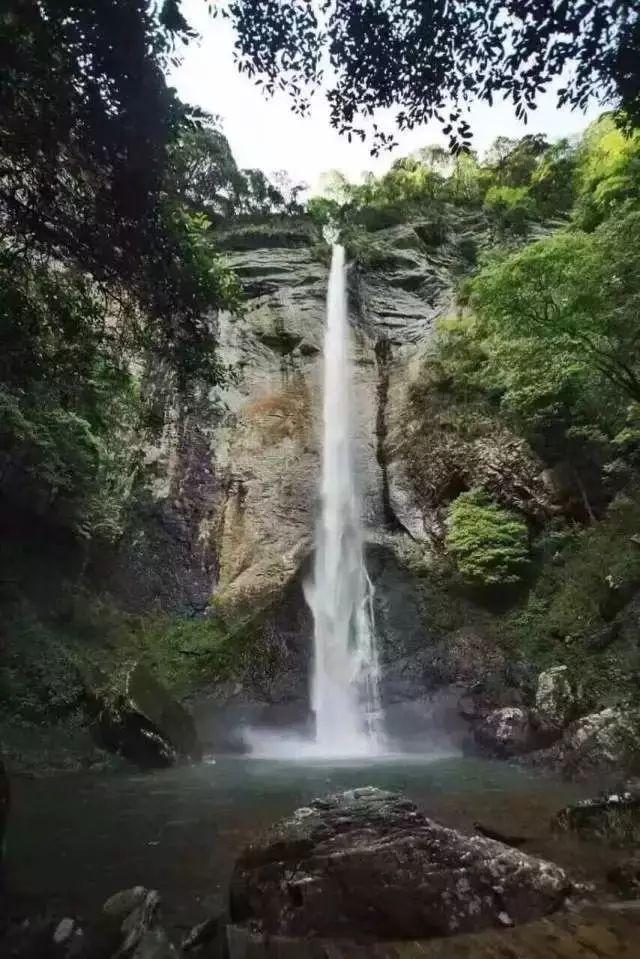 黄远志